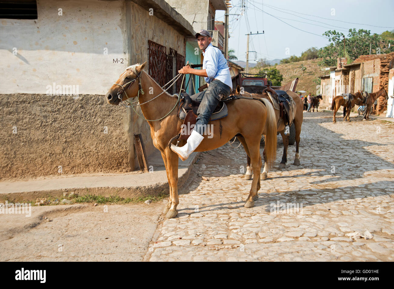 A Cuban guarjiro or cowboy taking his horses home after taking tourist on horseback tour of the countryside in Trinidad Cuba Stock Photo