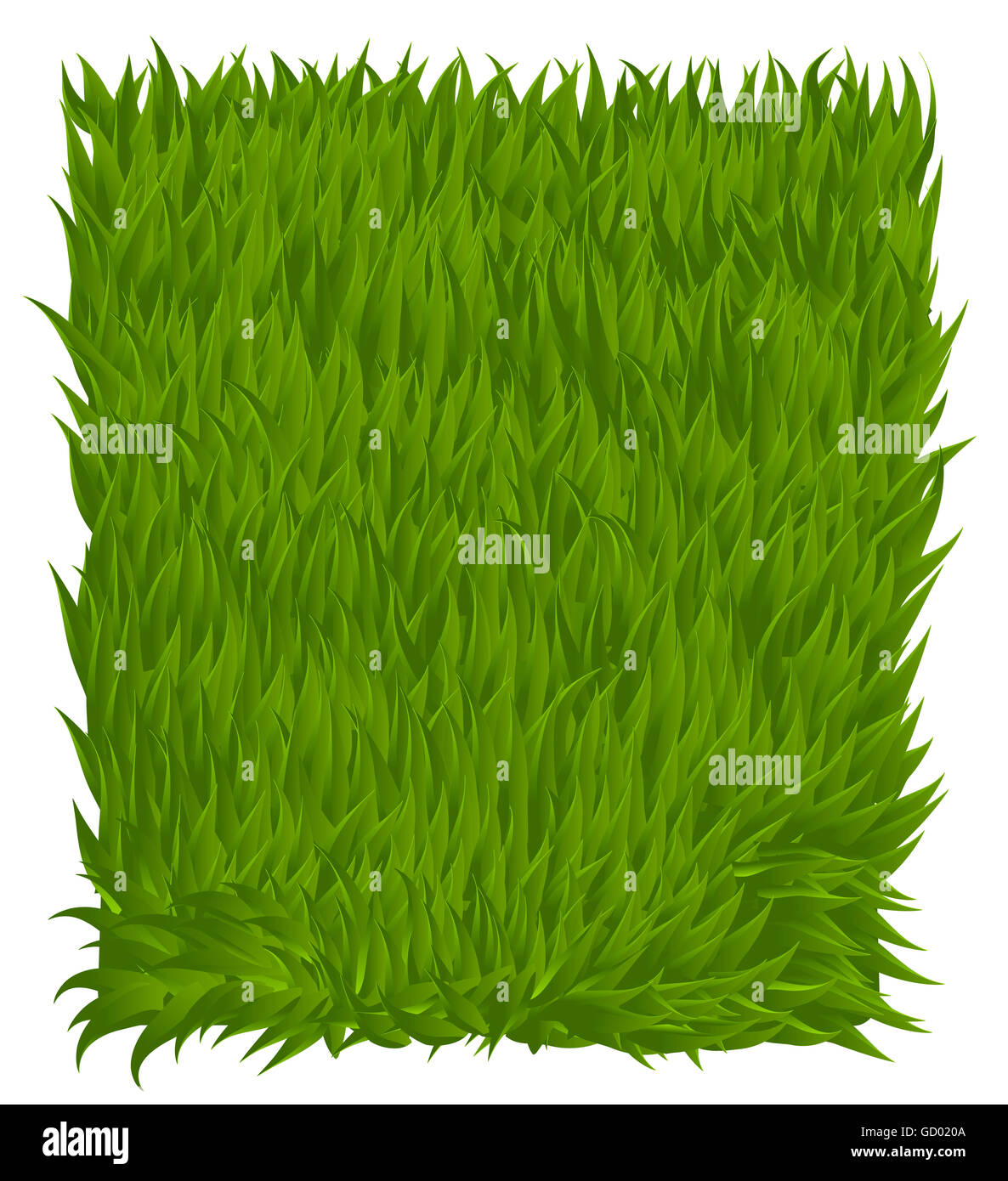 Green grass texture rectangle isolated on white Stock Photo
