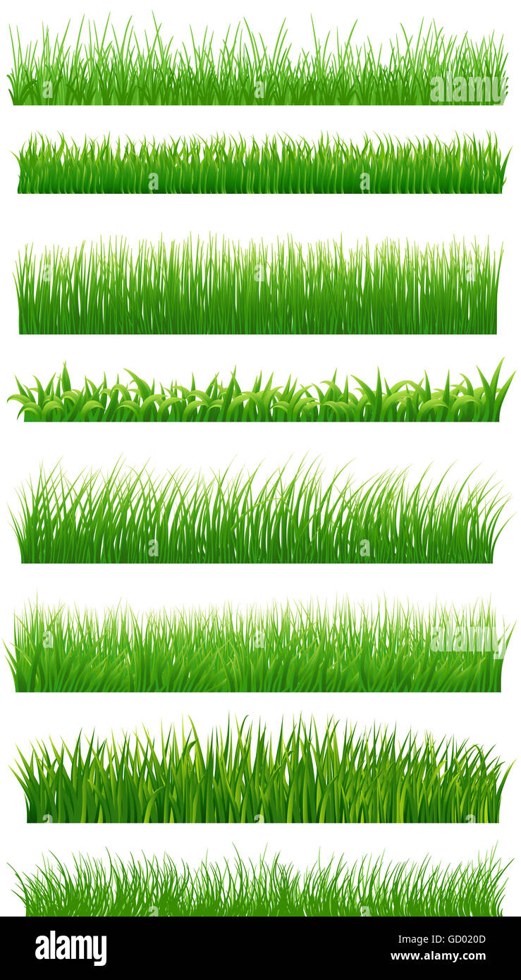 Green grass borders set on white Stock Photo