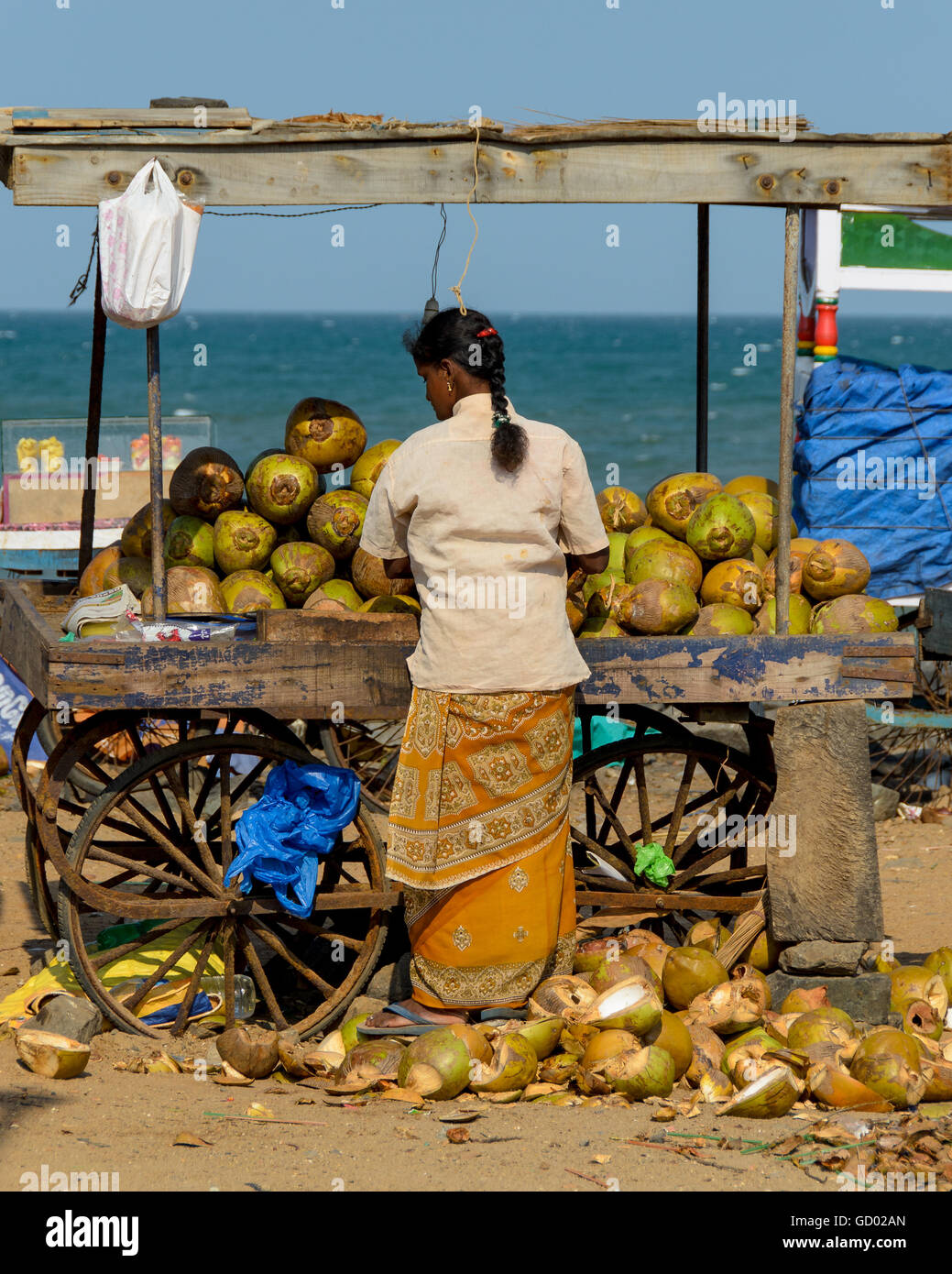 Coconut seller on the beach at Pondicherry, India Stock Photo Alamy