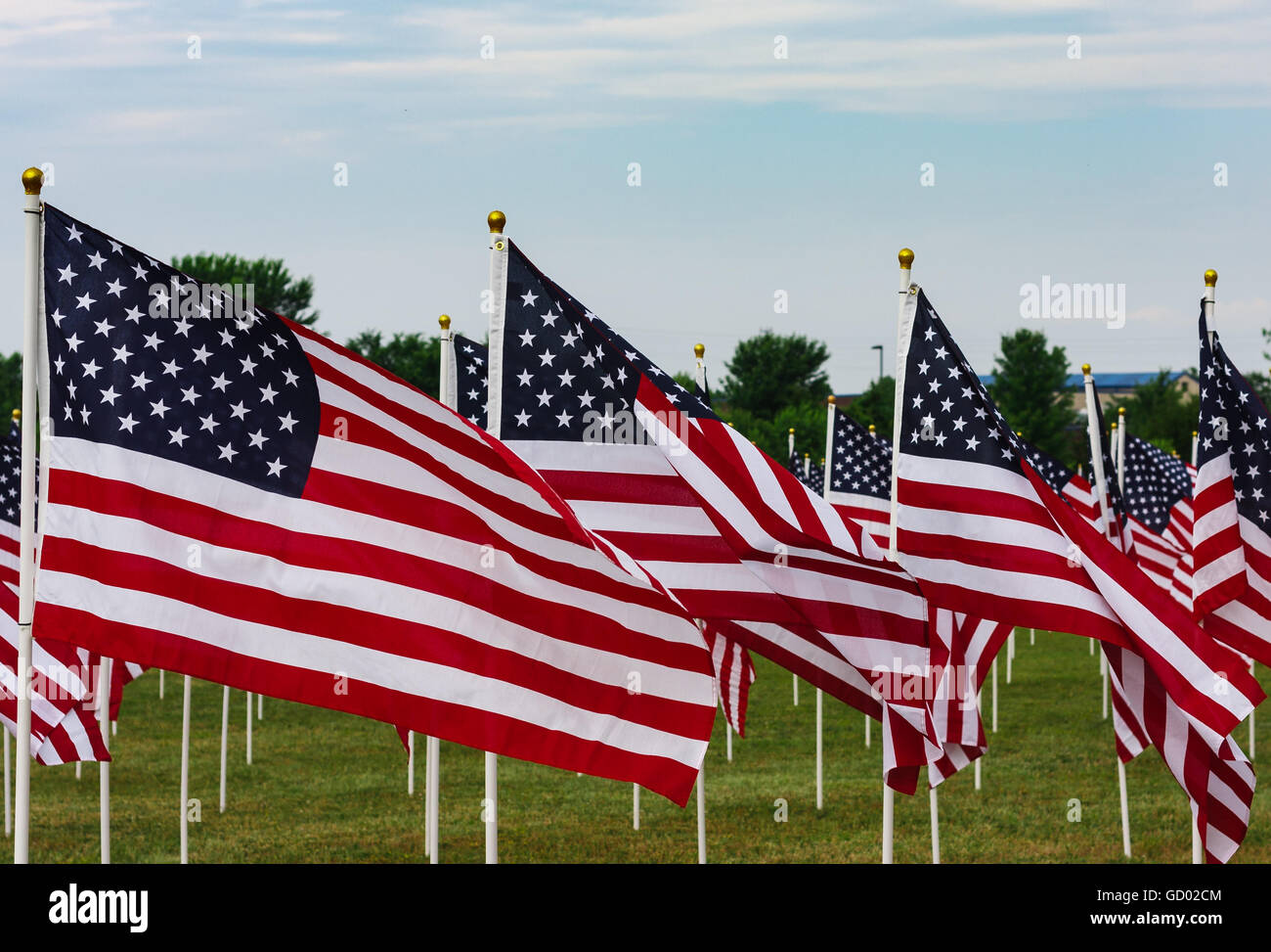 Memorial Day Field of Flags Stock Photo Alamy