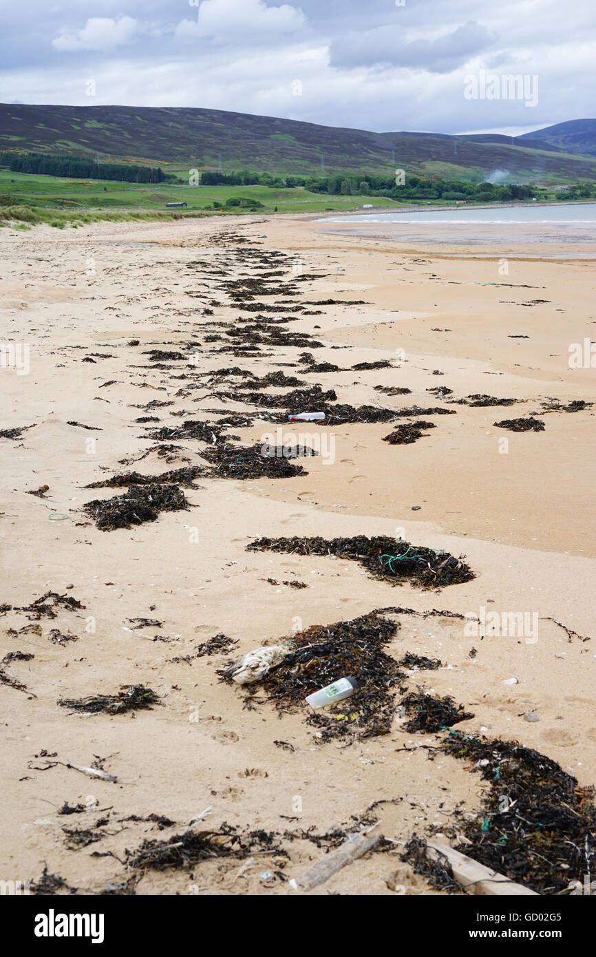 High tide line rubbish polluting a beach, Scotland, UK. Stock Photo