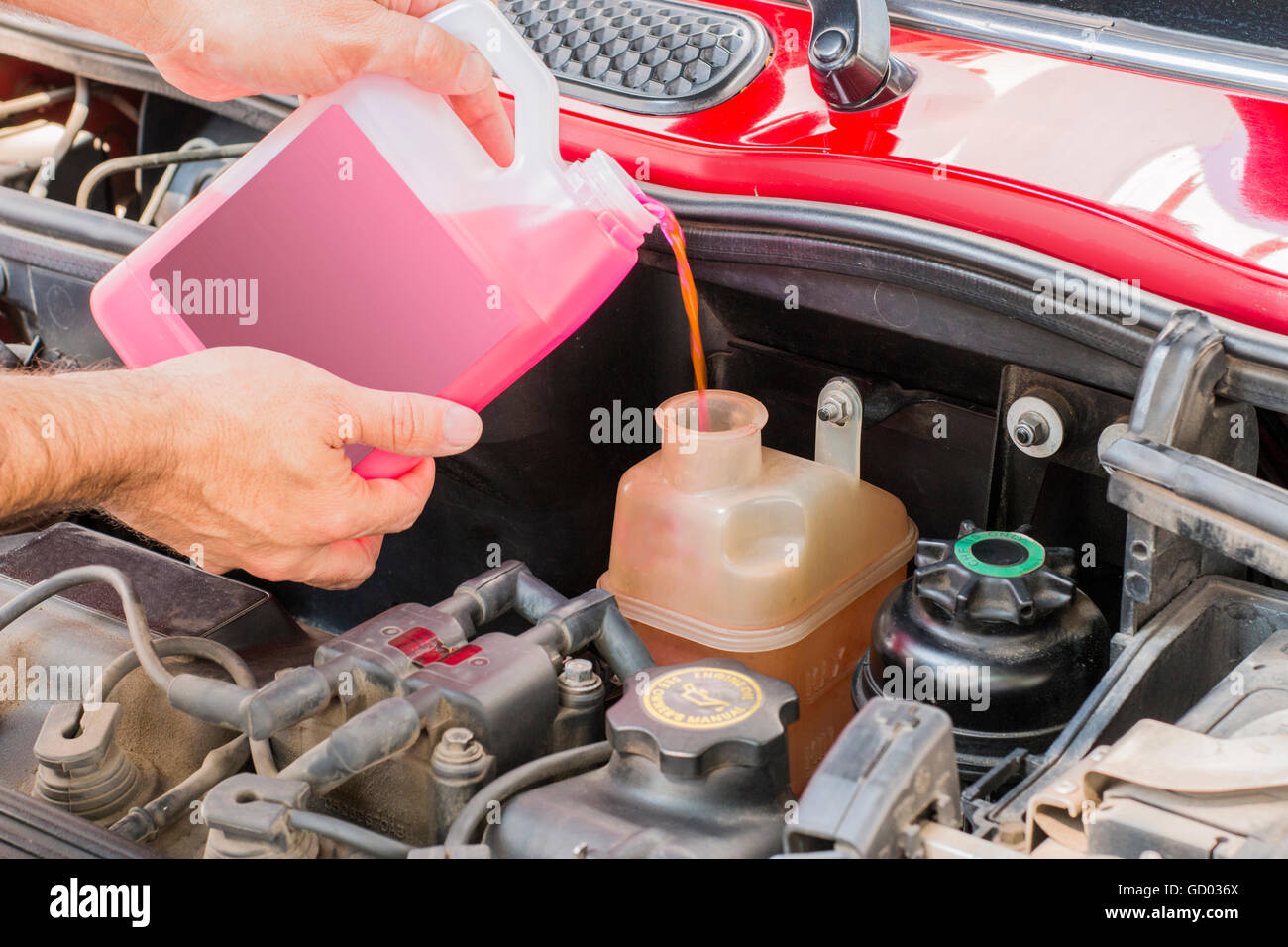 car coolant service in engine Stock Photo