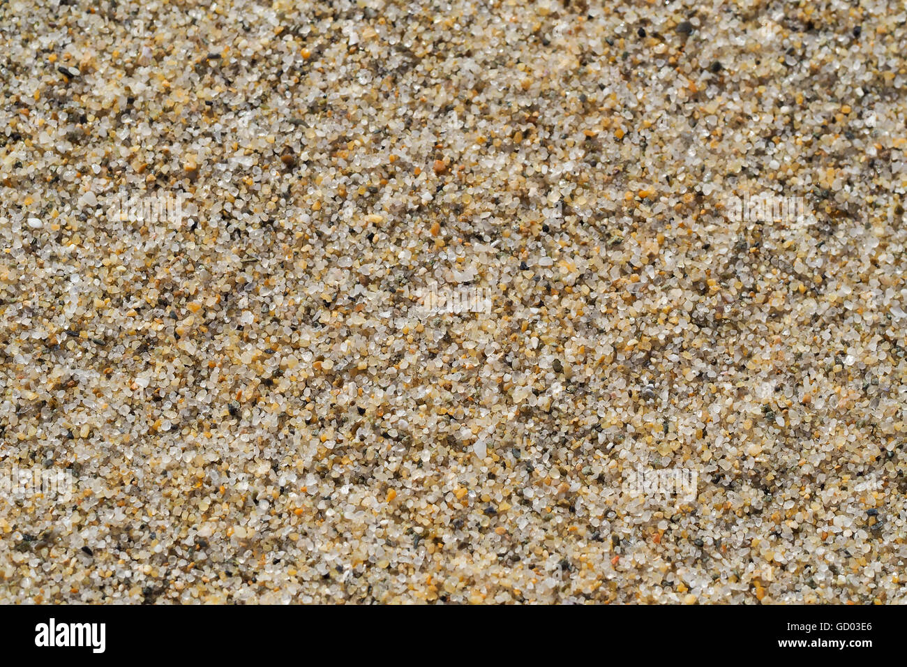 Texture of Sand Grains Close-up Stock Photo