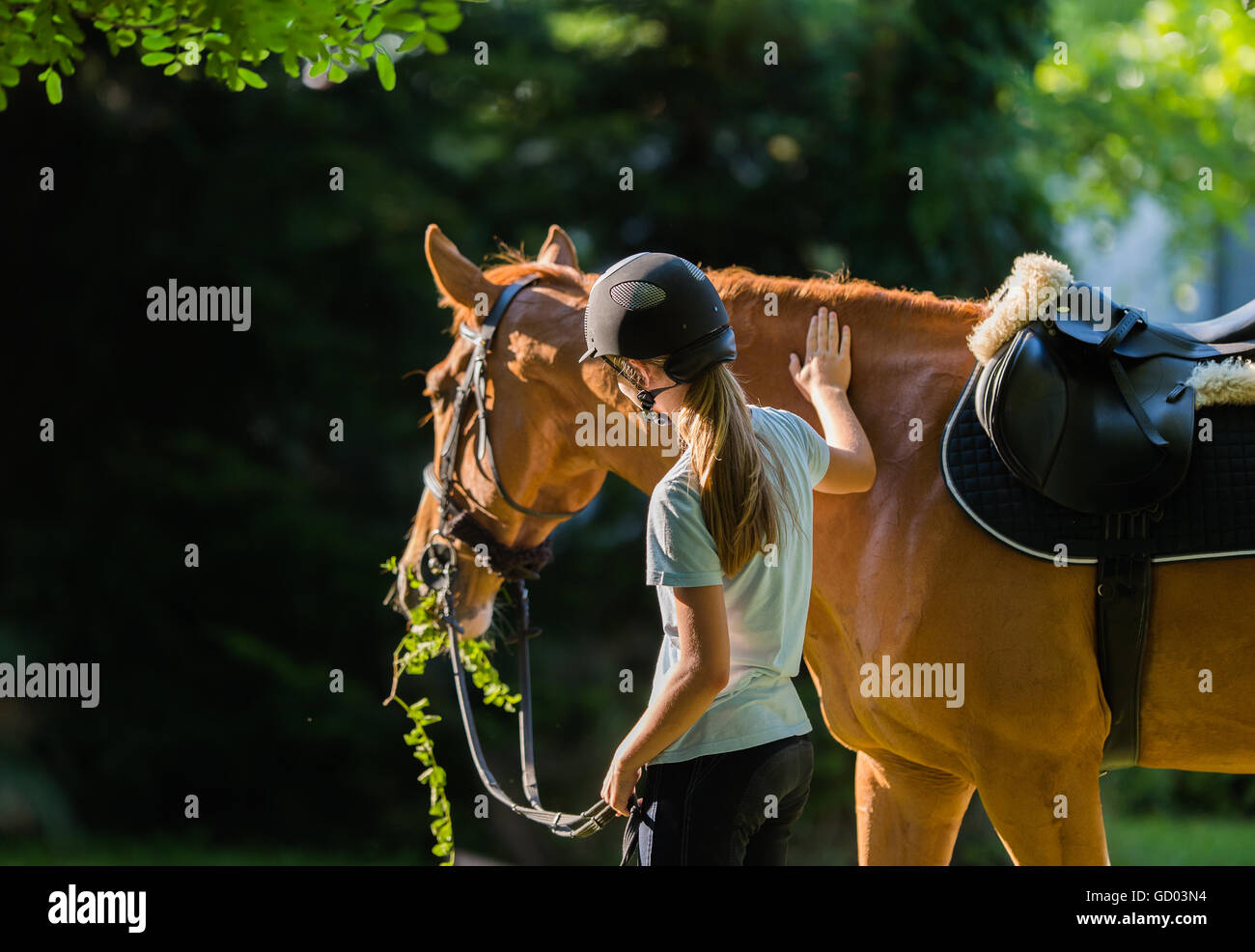 Girl riding a horse Stock Photo