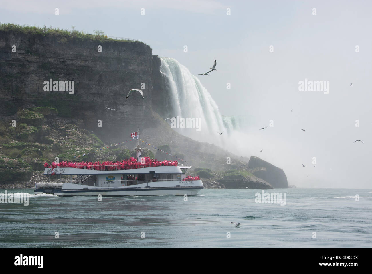 Canada, Ontario, Niagara Falls. Hornblower tourist boat exploring Niagara Falls. Stock Photo