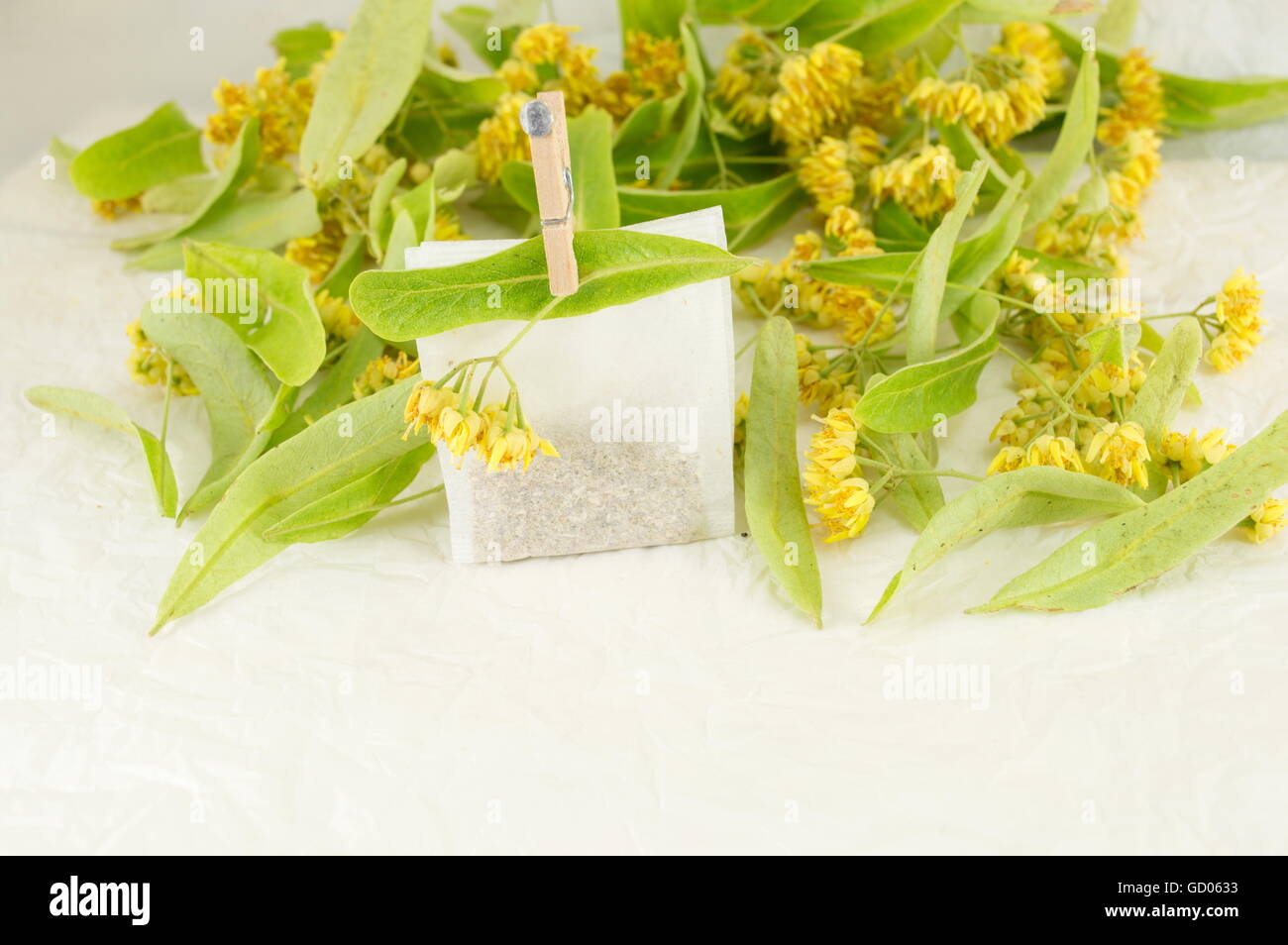 Linden Tea beg with fresh flowers on the table Stock Photo