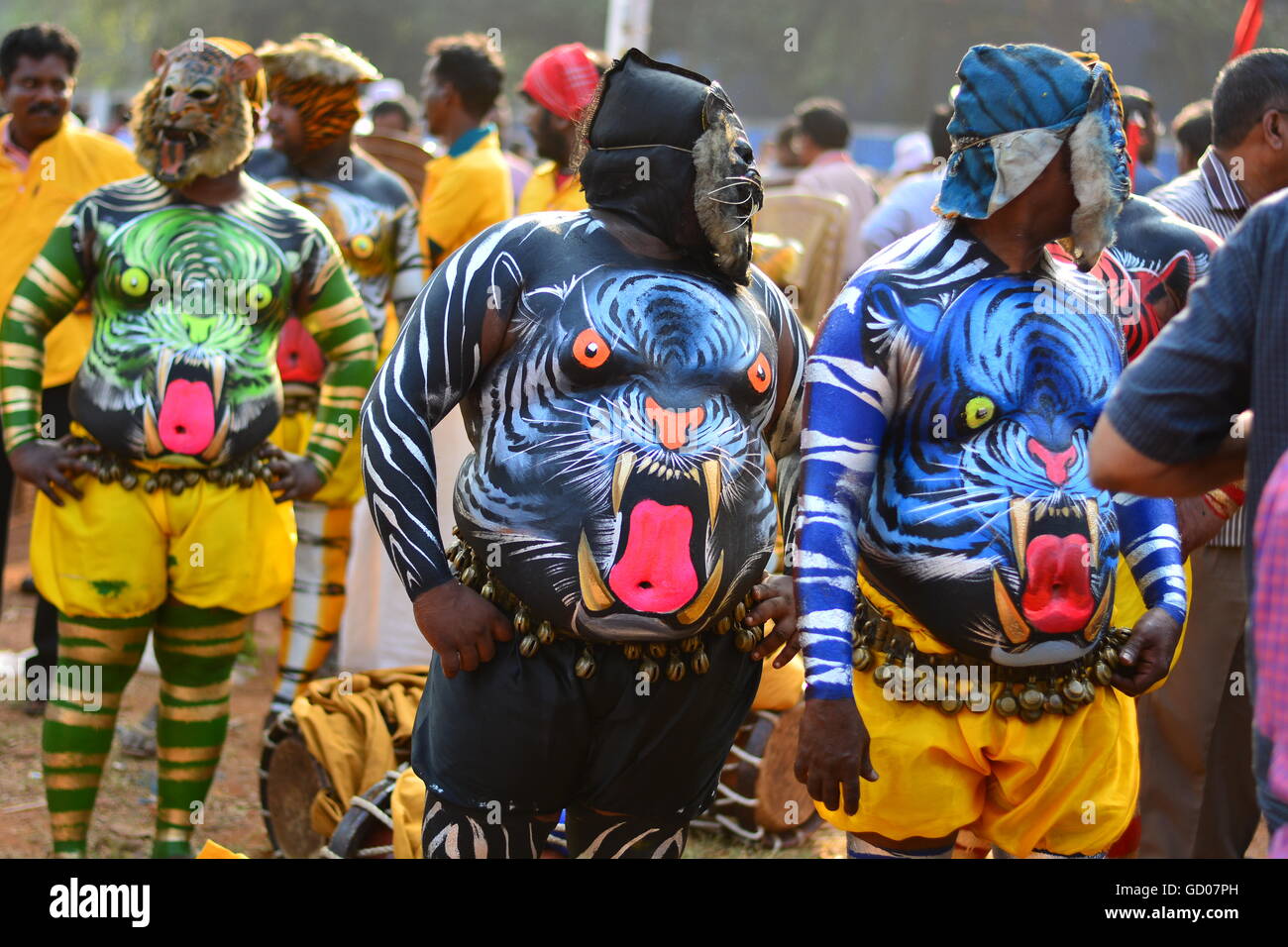 Puli kali (Tiger dance) by a group of fat obese men colorful festival in  Kerala India Stock Photo - Alamy