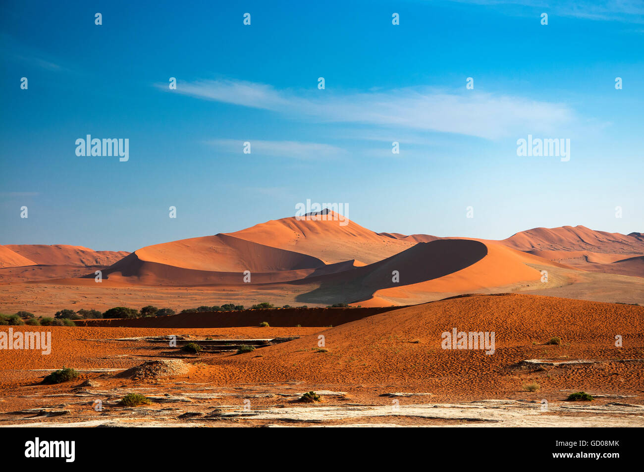 Red dunes in Sossusvlei, in Namibia, Africa Stock Photo