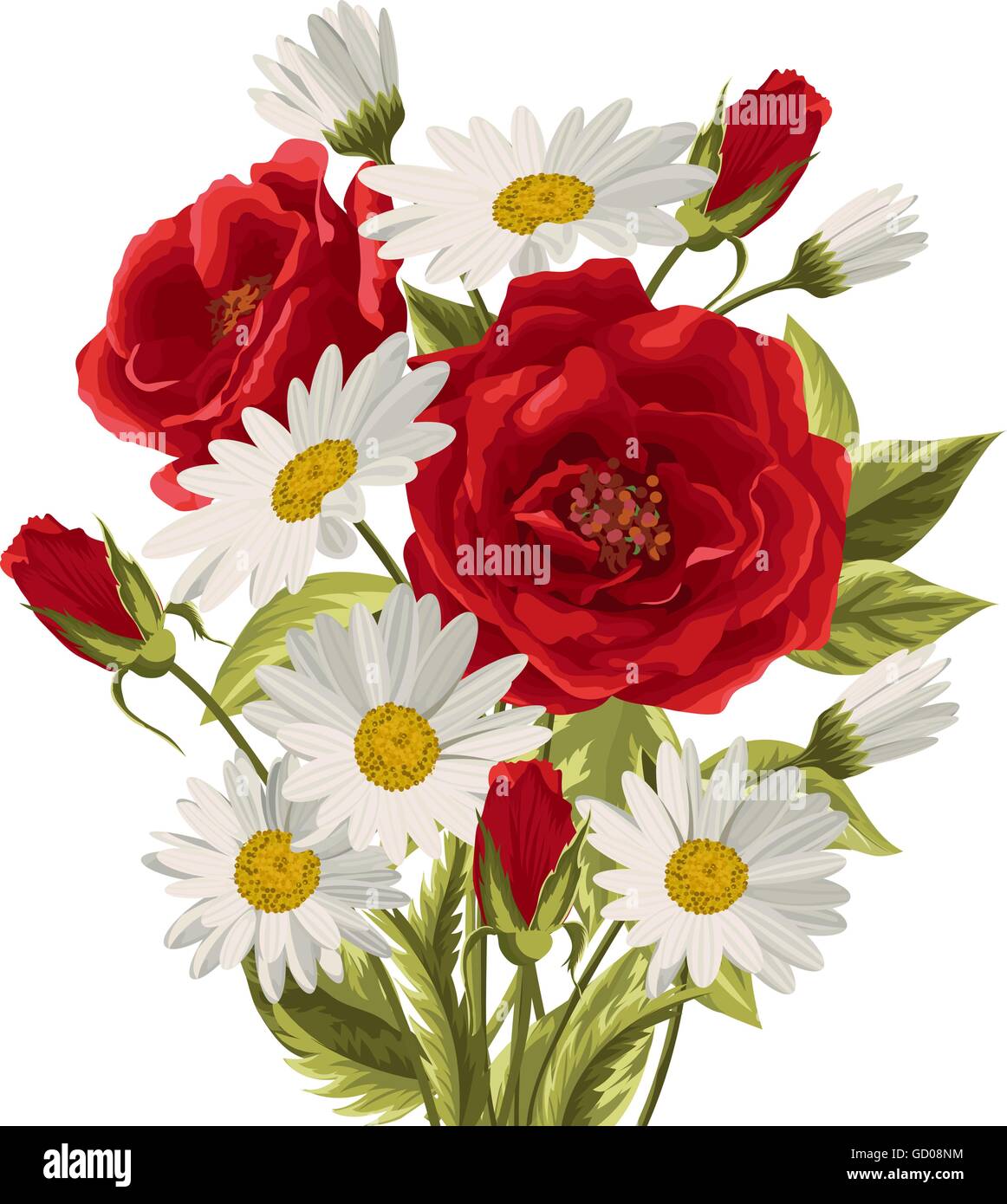 Beautiful white daisies and red roses Stock Vector Image & Art Alamy