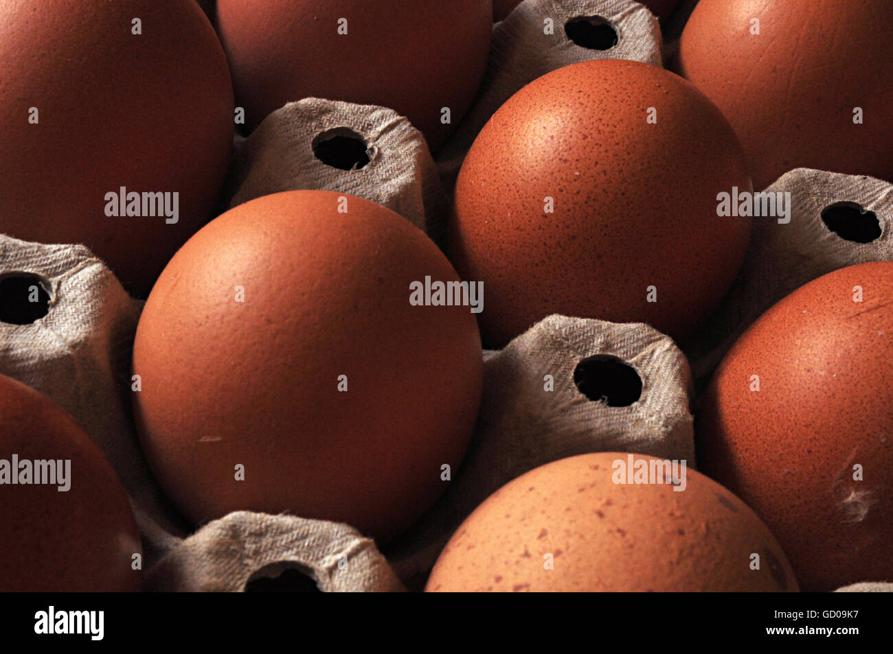 Brown eggs in exposed for stability in transport storage hires stock