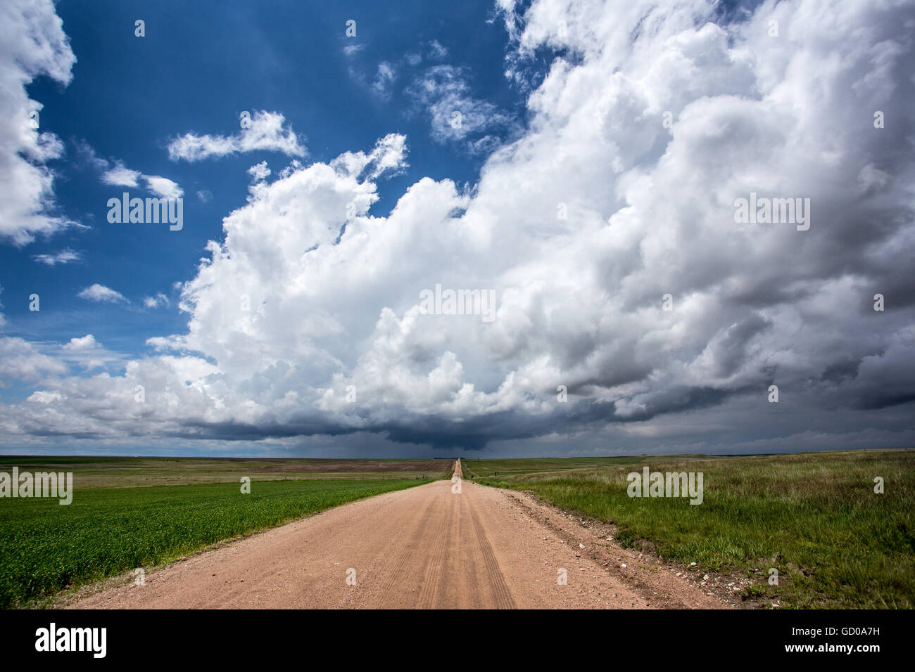 A dirt road leads into a thunderstorm near Yuma, Colorado, May 23, 2015. Stock Photo