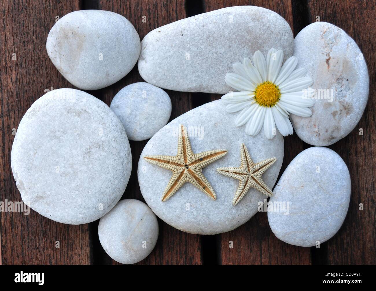 white stones , boulders, and two starfish on a set Stock Photo
