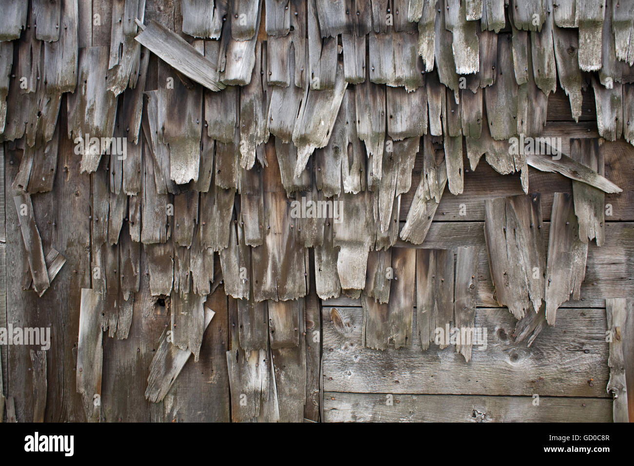 Old shingle siding hi-res stock photography and images - Alamy, image size:1300x956