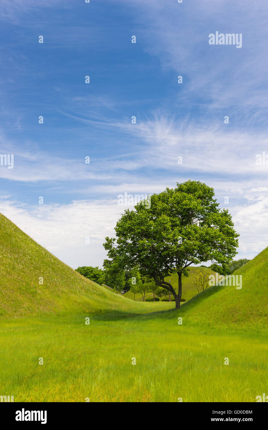 A single tree stands between two traditional burial mounds in Gyeongju, South Korea Stock Photo