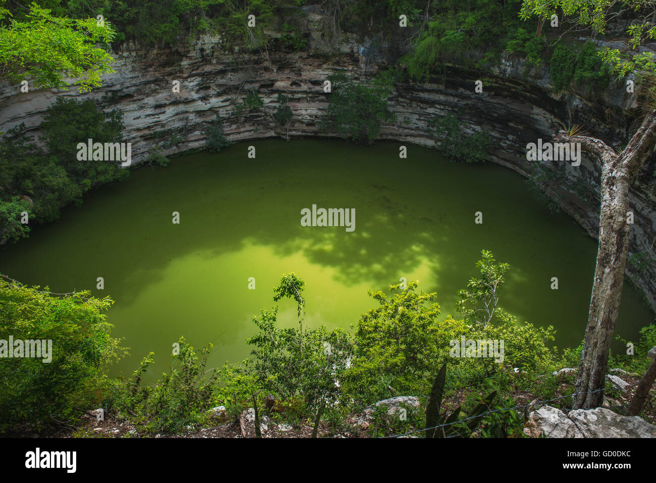 Sagado cenote is a massive sinkhole in the Chichen Itza archaeological zone in Mexico. Stock Photo
