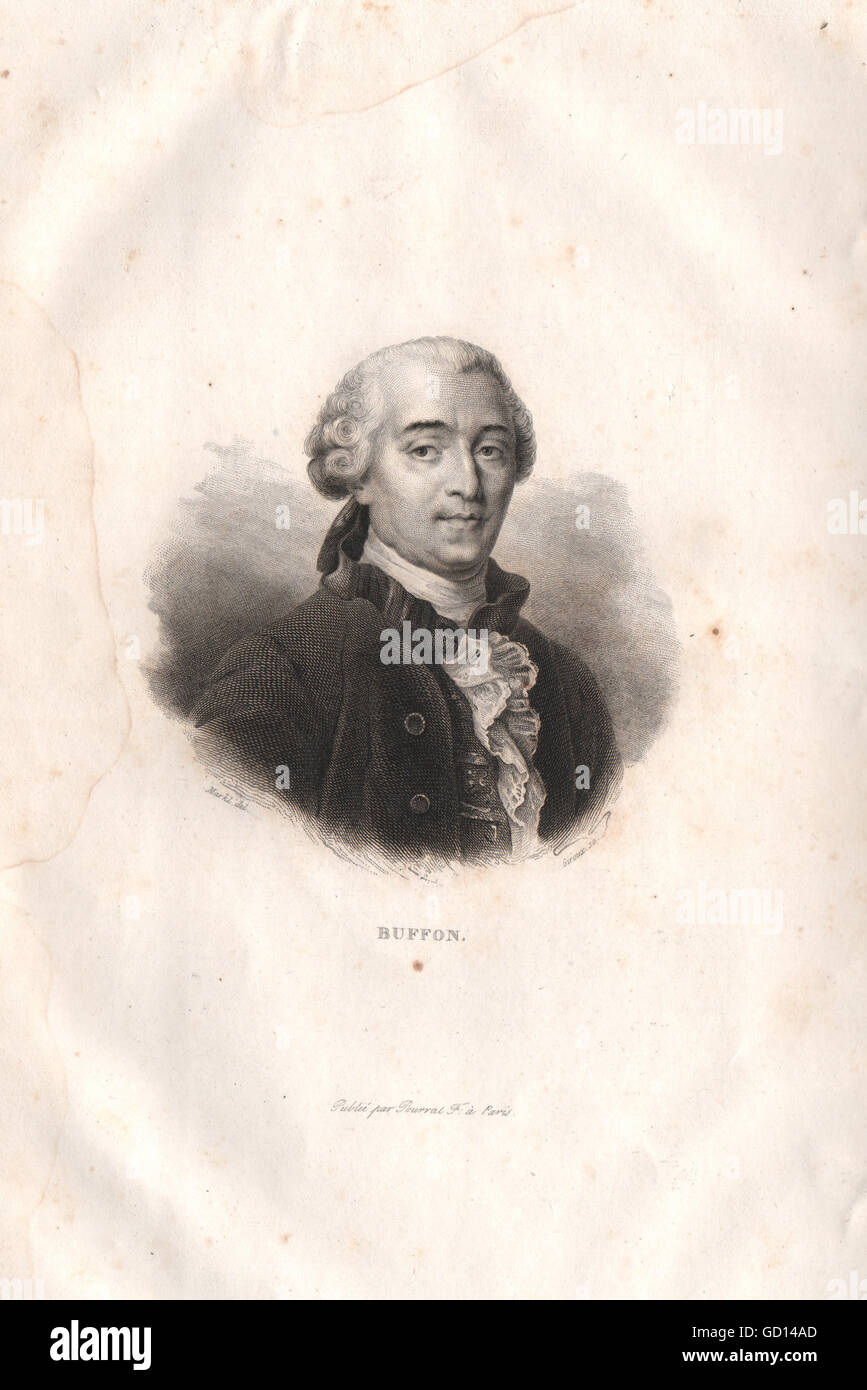 Comte De Buffon Georges Louis Leclerc French Naturalist France