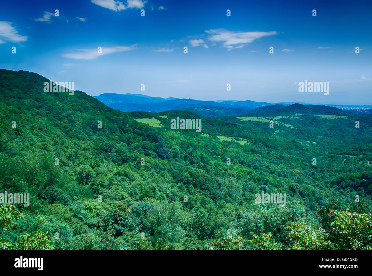 mountain forest landscape in summer sunlight blue sky Stock
