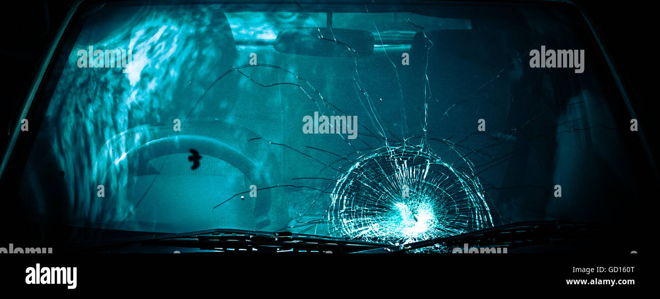 Shattered and Broken windshield of a car Stock Photo