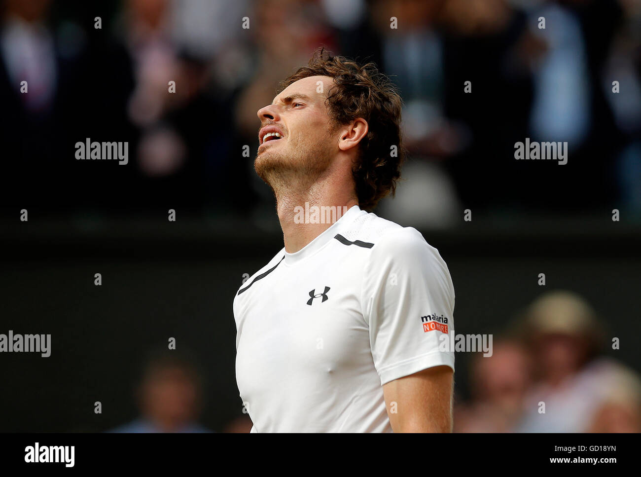 Andy Murray reacts after winning the men's singles final against Milos Raonic on day thirteen of the Wimbledon Championships at the All England Lawn Tennis and Croquet Club, Wimbledon. Stock Photo