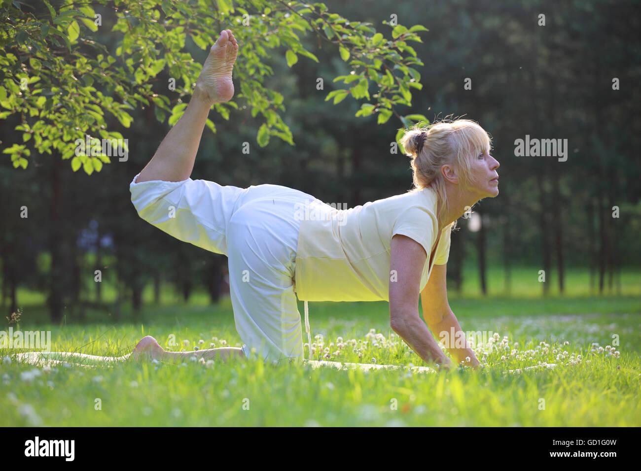 Premium Photo  An elderly woman practicing yoga on the shore of a lake in  summer meditation sports in old age