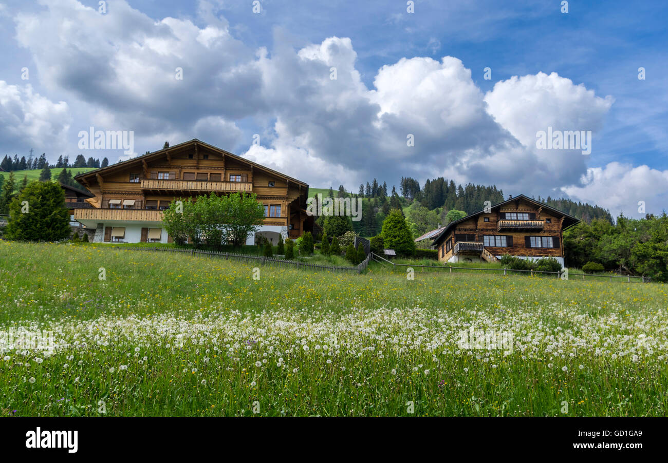Chalets in Schönried ob Gstaad, Berner Oberland, Switzerland Stock ...