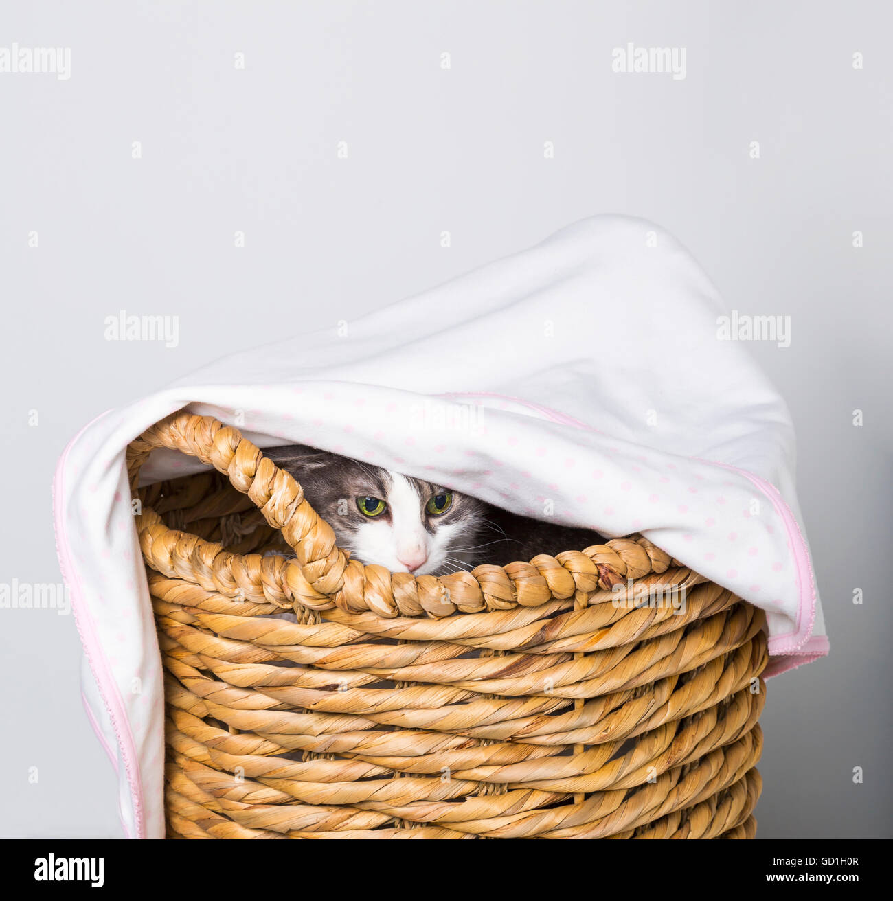 A cat peeking it's head out of wicker basket covered with a blanket in