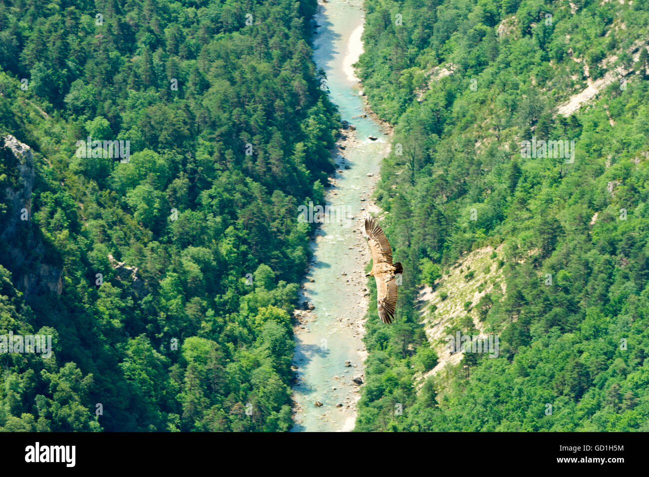 Gorges du Verdon, Provence, France Stock Photo