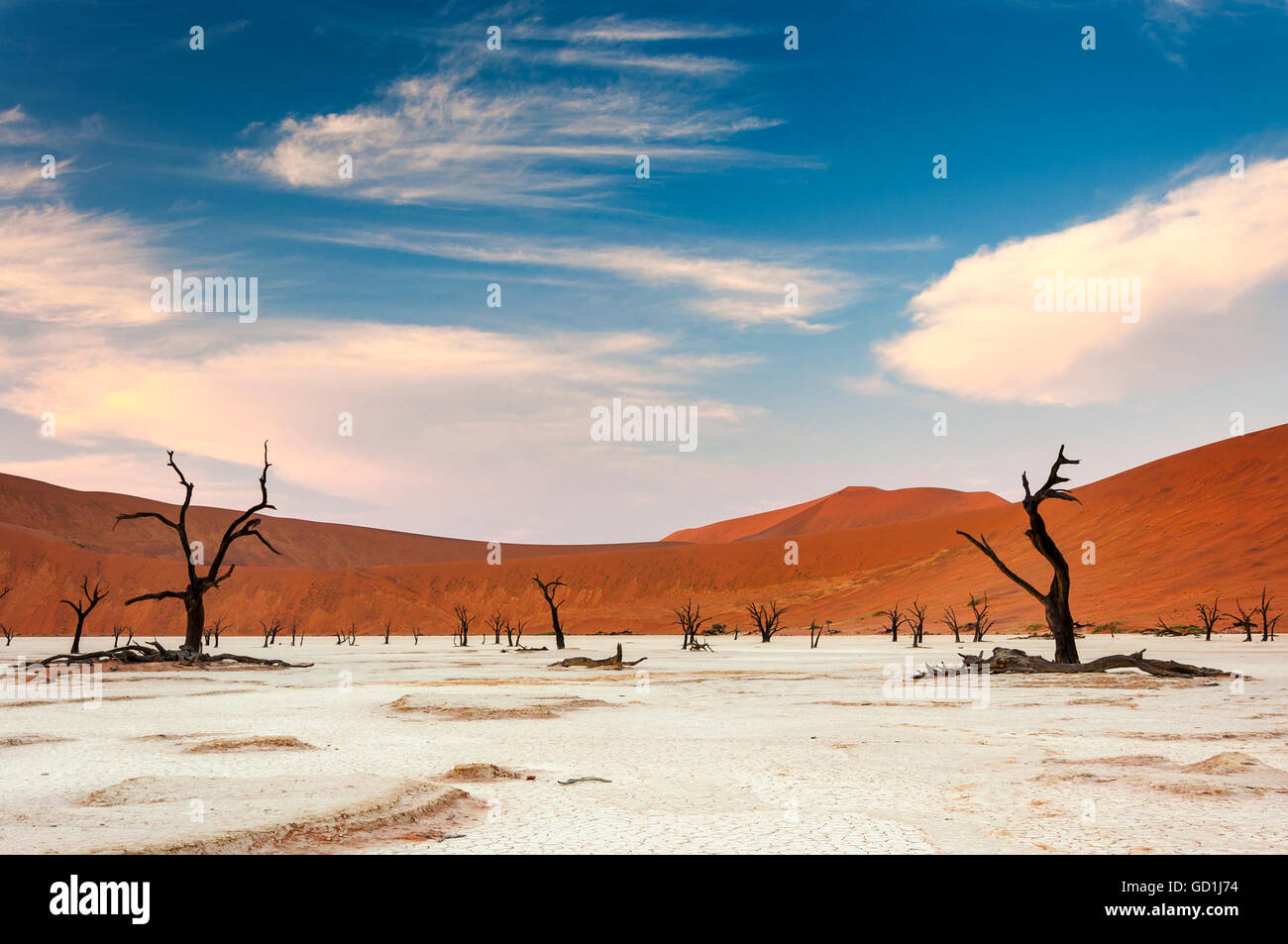 View deadvlei in namibia hi-res stock photography and images - Alamy