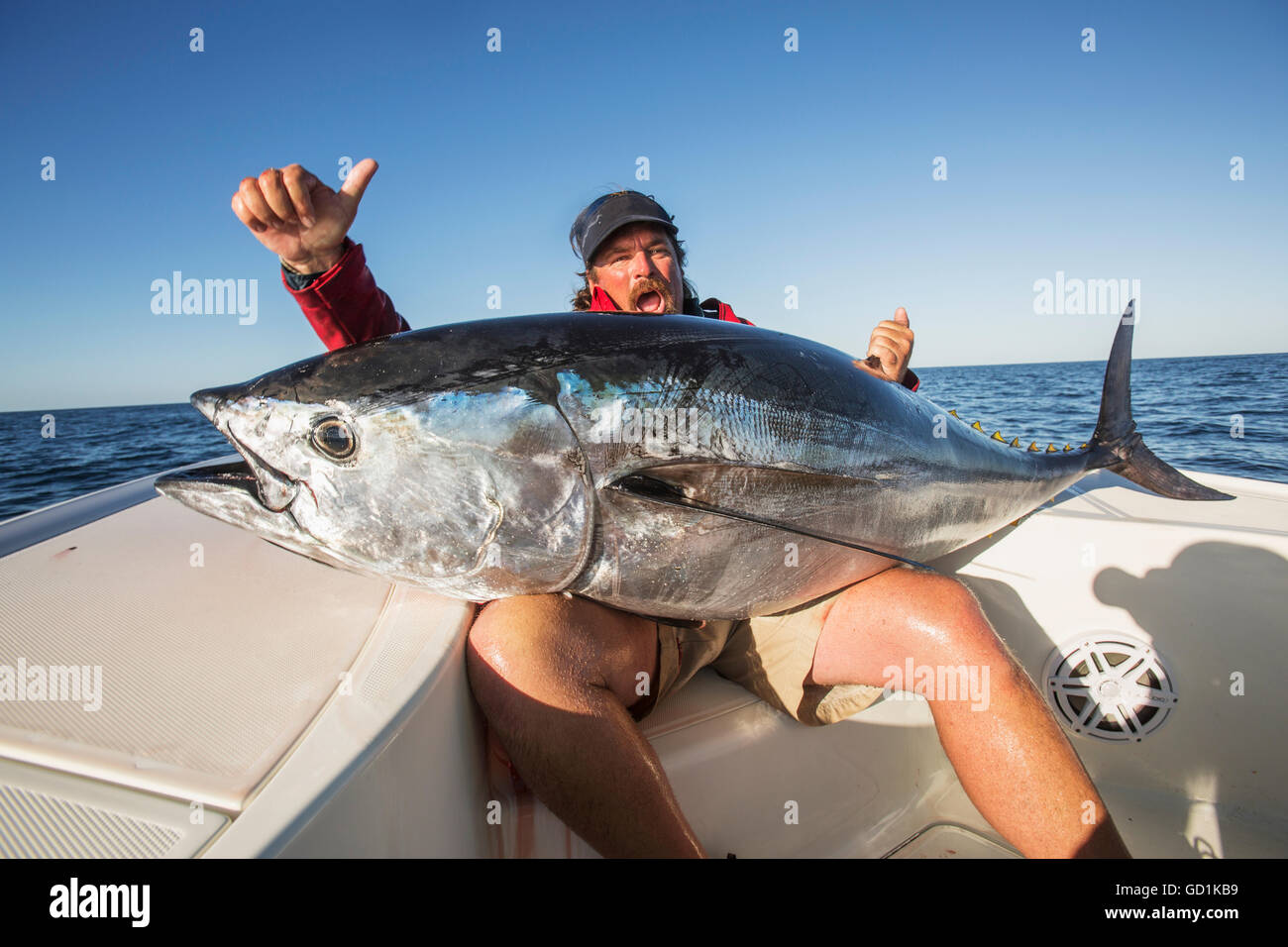 Fishing for false albacore tuna off the coast of Cape Cod; Massachusetts, United States of America Stock Photo