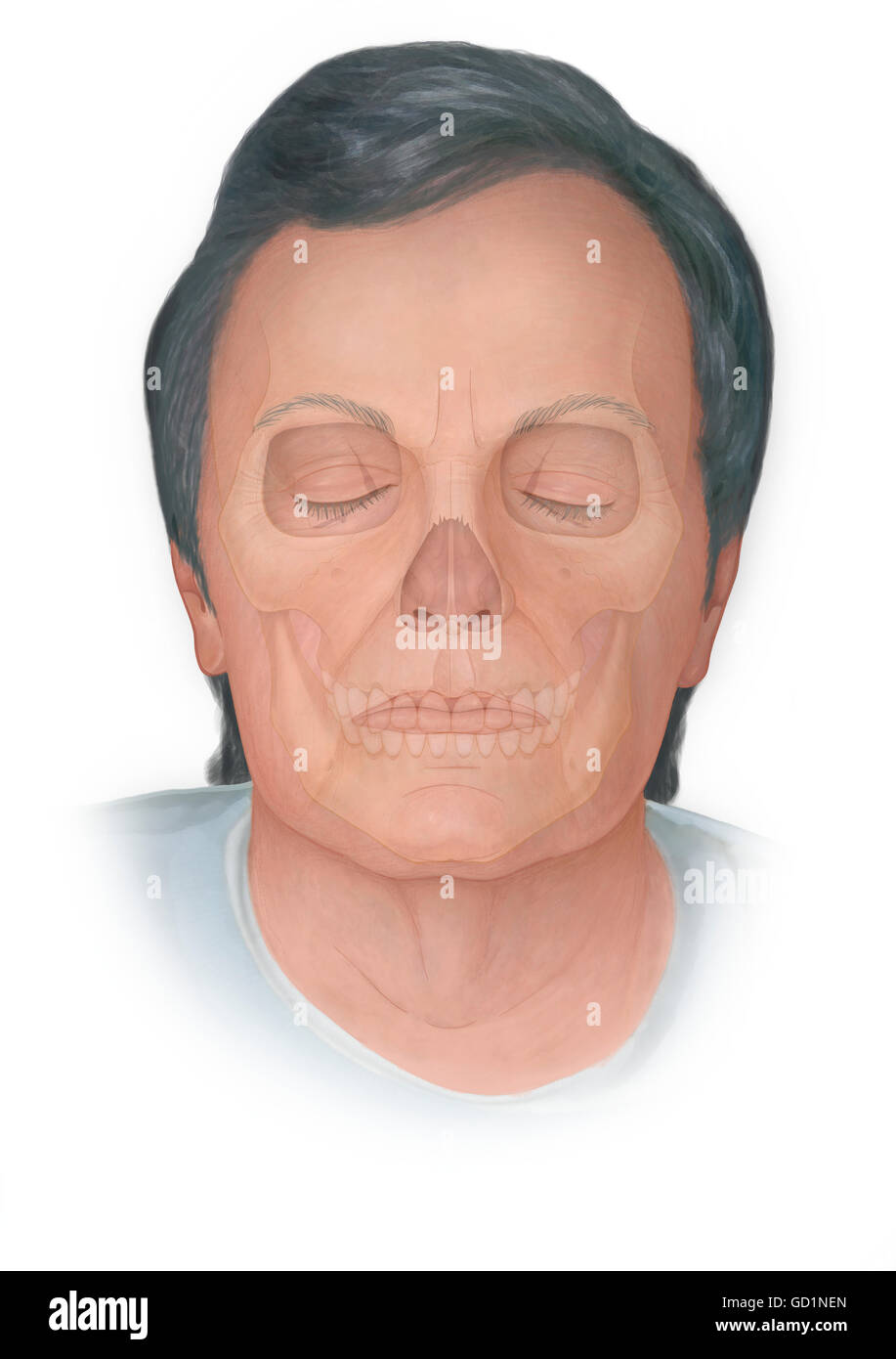 Front view of normal elderly face with a skull phantomed behind Stock Photo