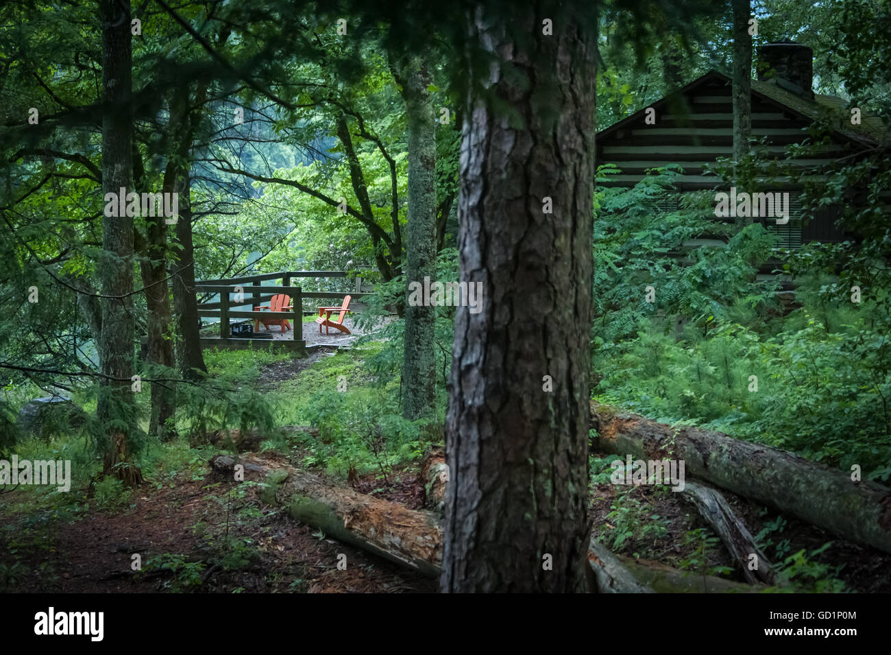 Chattahoochee national forest hi-res stock photography and images - Alamy