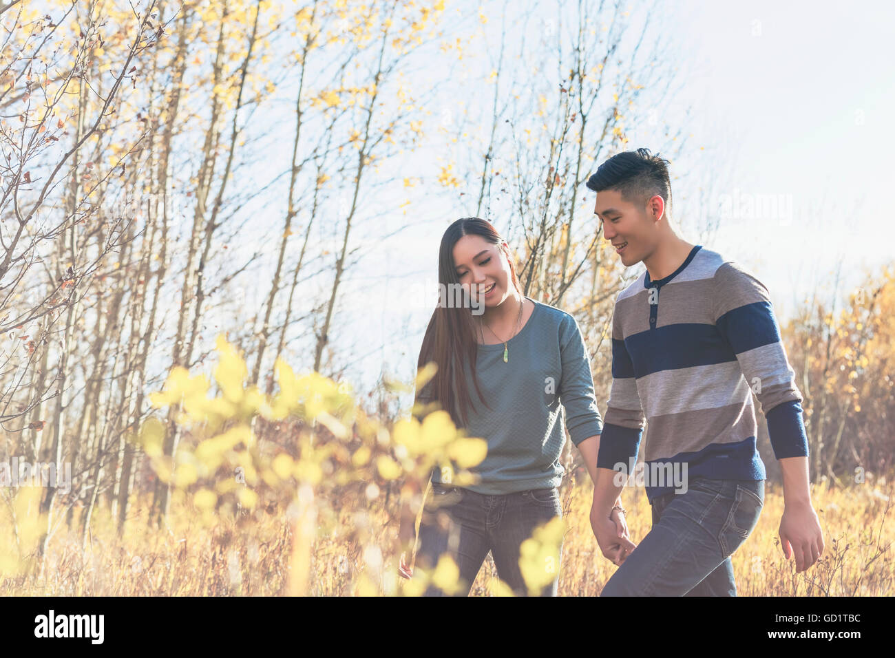 A young Asian couple holding hands while walking through a park in ...