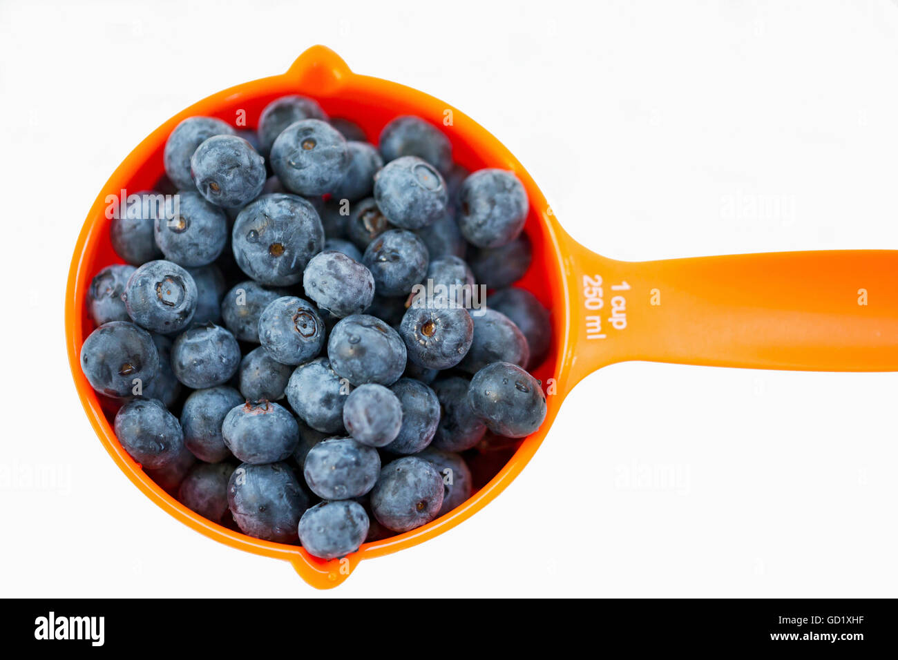 Close up of one cup of blueberries on a white background Stock Photo