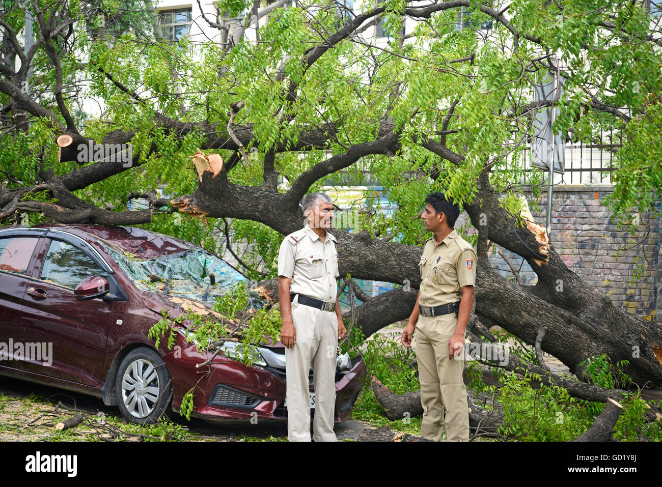 Storm crushed the car Stock Photo Alamy