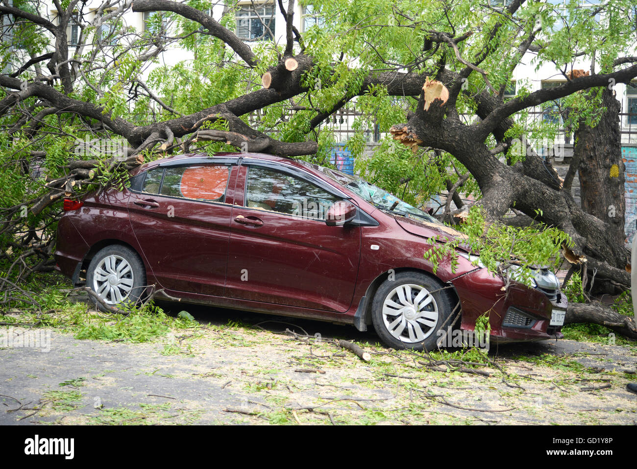 Storm crushed the car Stock Photo
