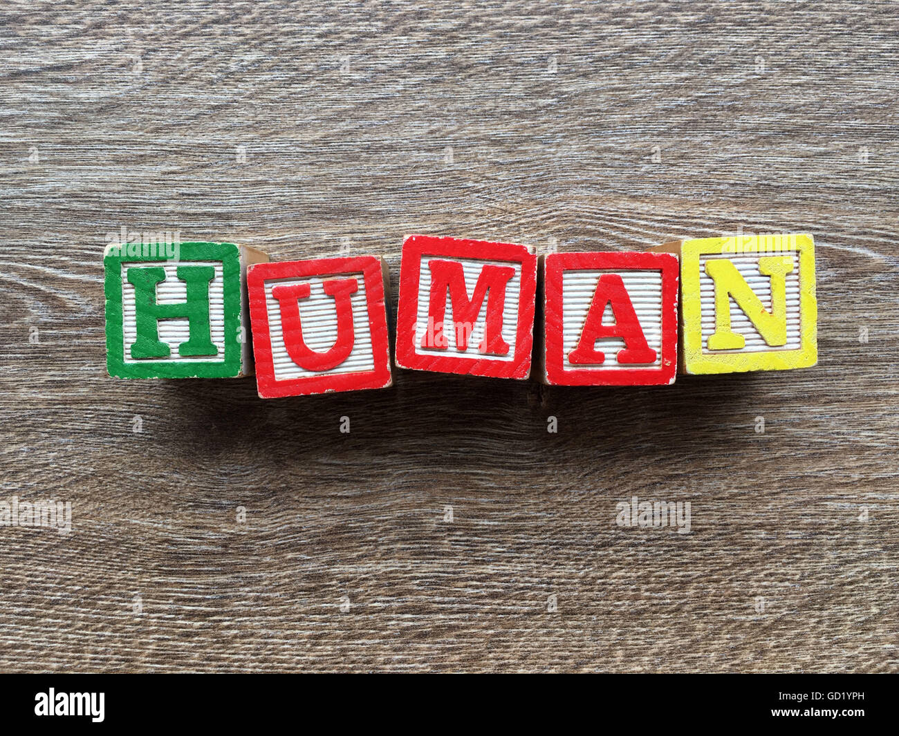 Human word written with wood block letter toys Stock Photo