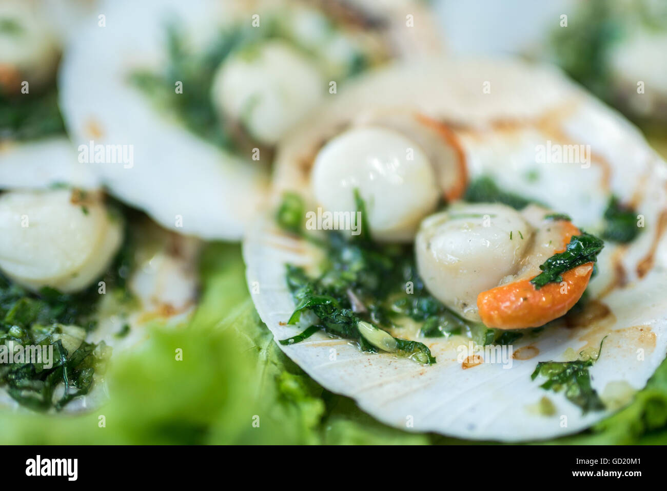 baked scallops with creamy herb butter sauce Stock Photo Alamy