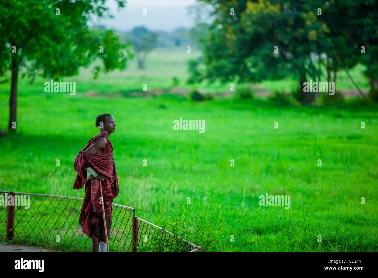 Maasai warrior hi-res stock photography and images - Alamy