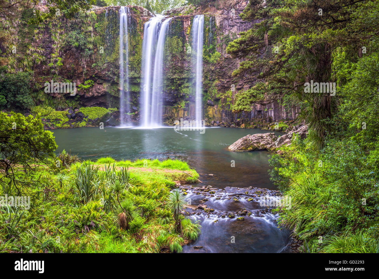 Whangarei Falls, a popular waterfall in the Northlands Region of North