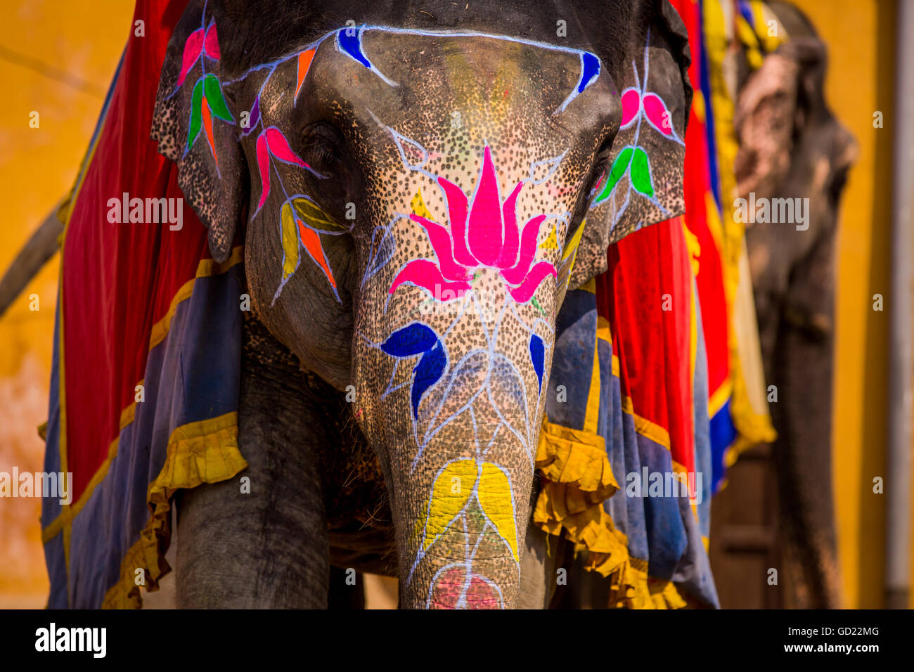 Painted elephant, Amer Fort, Jaipur, Rajasthan, India, Asia Stock Photo