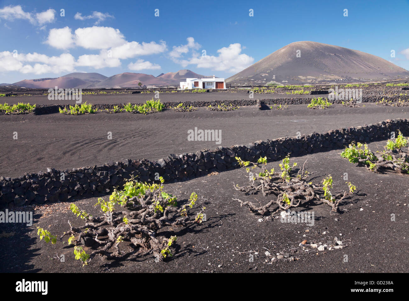 Finca, wine growing district La Geria, Lanzarote, Canary Islands, Spain, Atlantic, Europe Stock Photo