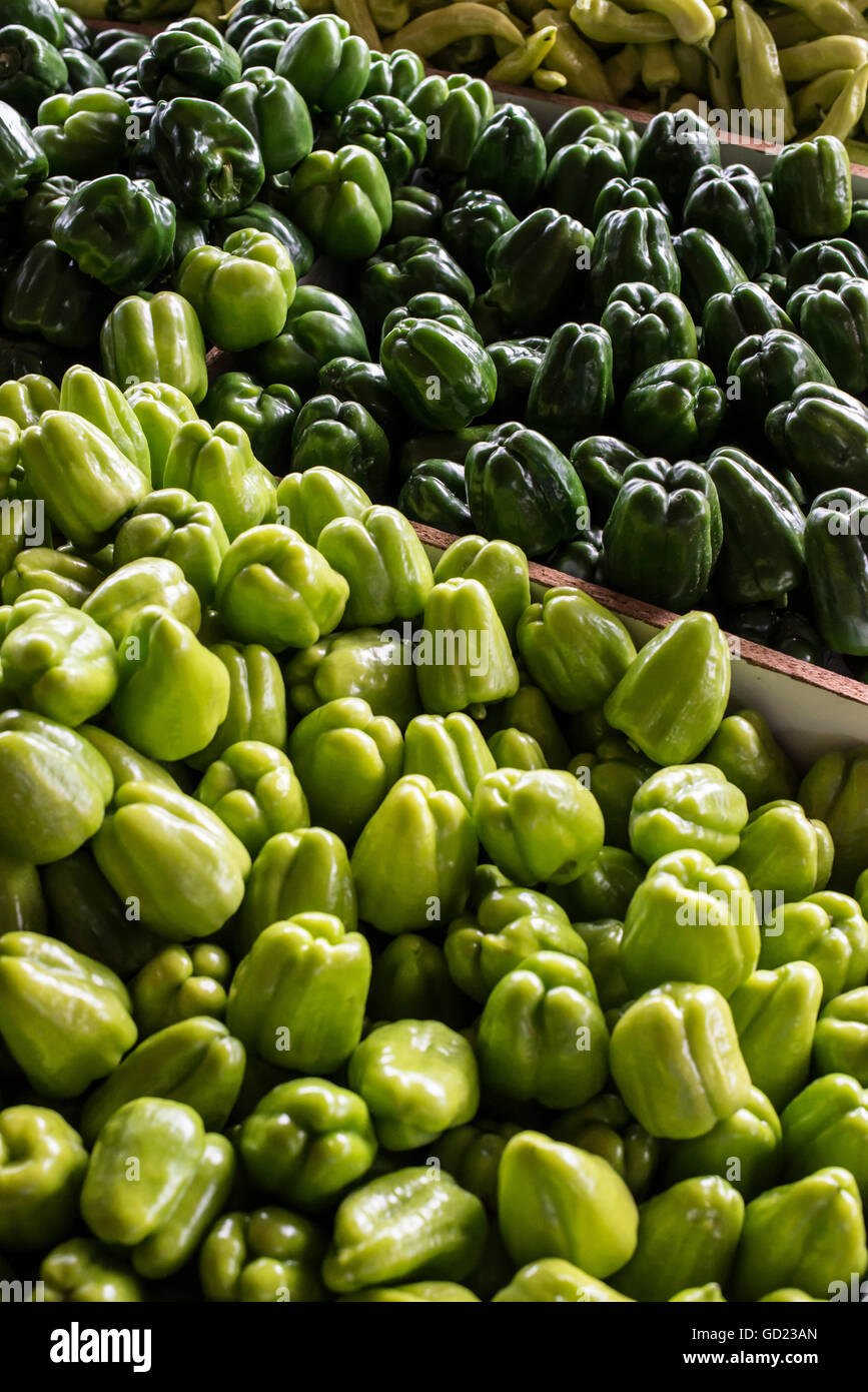 Green peppers on the market Stock Photo - Alamy