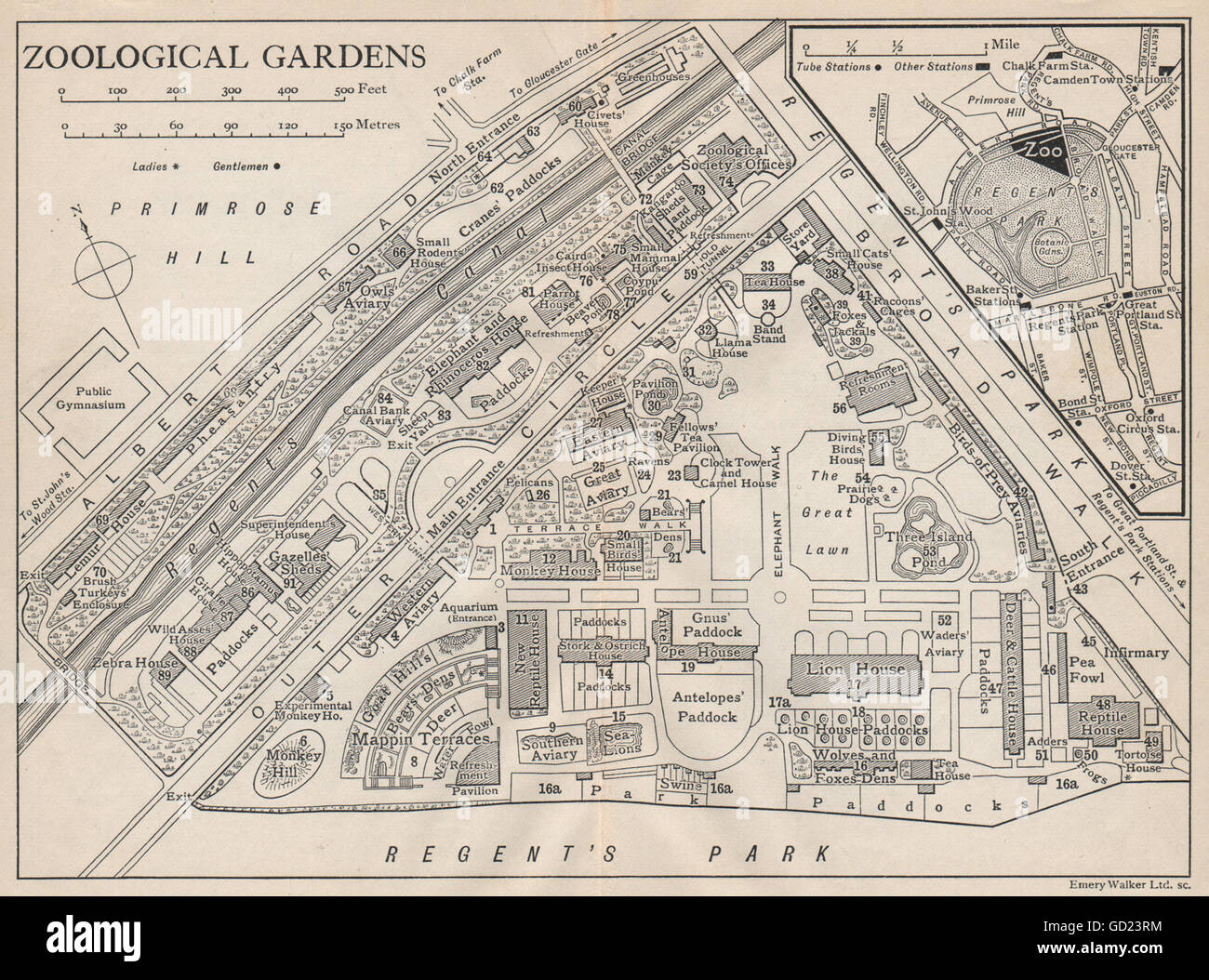LONDON ZOOLOGICAL GARDENS. Vintage map plan. Regent's Park, 1922 Stock Photo