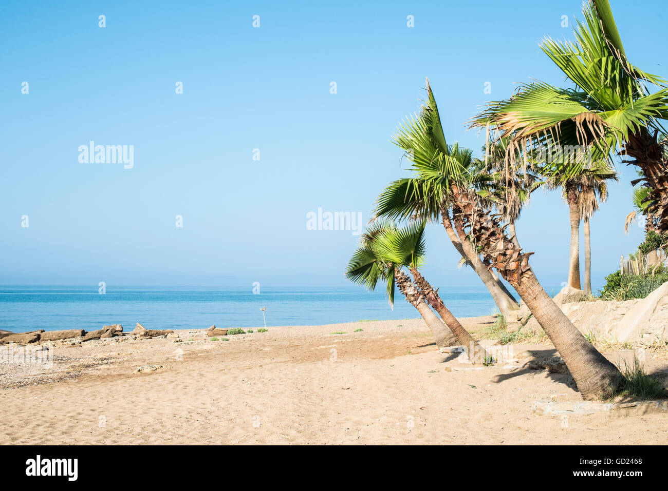 Beach blue sky sea palm trees sunny hi-res stock photography and images ...