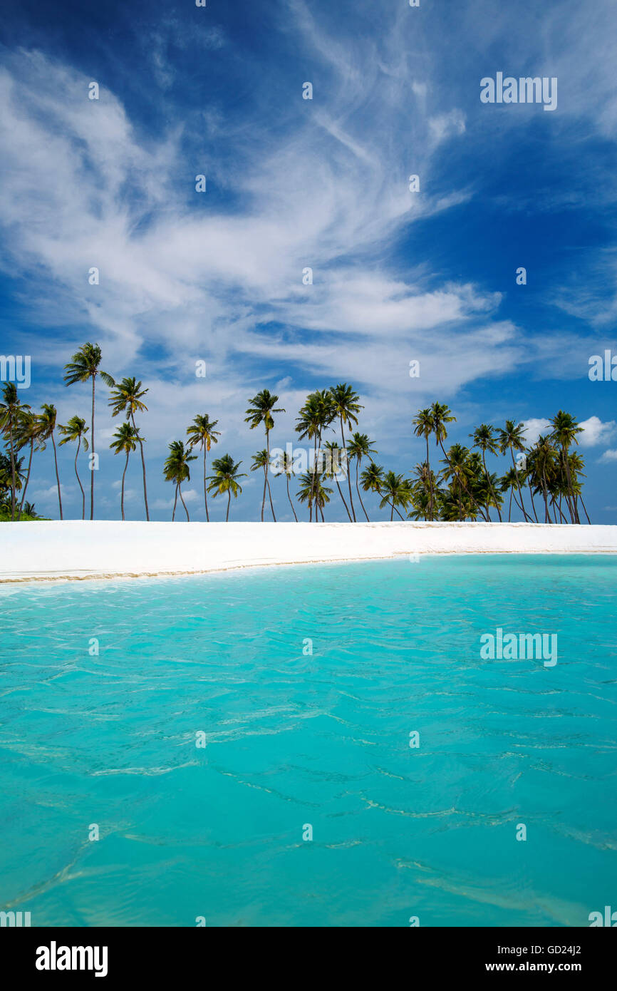 Palm trees and tropical beach, Maldives, Indian Ocean, Asia Stock Photo