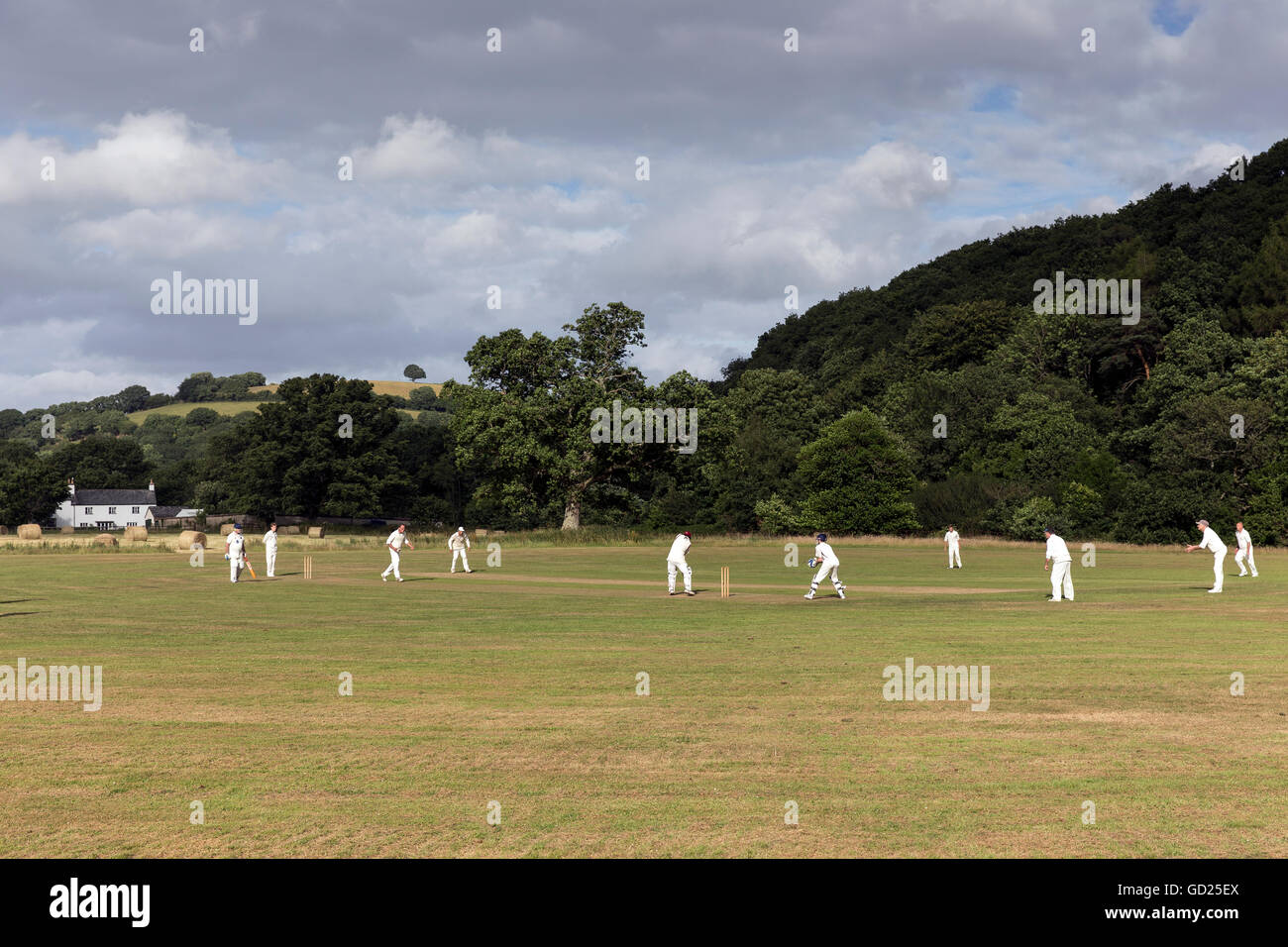village cricket, Dartmoor National Park,green, ball, game, match, grass