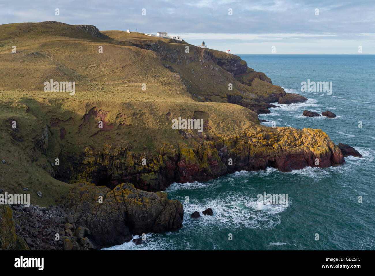 The coastline at St. Abb's Head Nature Reserve, Berwickshire, Scotland, United Kingdom, Europe Stock Photo