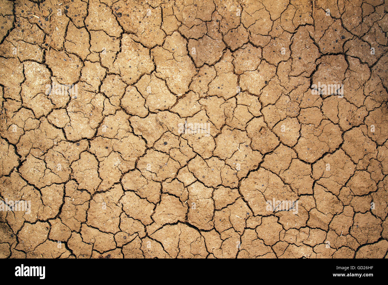 Mud cracks in dry earth texture, arable soil during dry season in nature as weather or climate change background Stock Photo