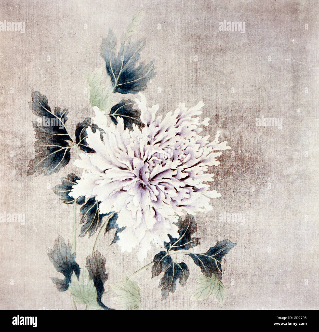 fine arts, painting, fully bloomed peony, watercolours on silk, China, unknown artist, Song Dynasty (960 - 1127), National Museum, Taipei, Artist's Copyright has not to be cleared Stock Photo